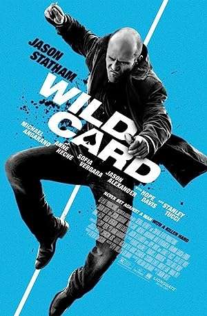 WILD CARD (2015)